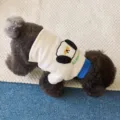 Detailed view of a cute pet fleece sweater for small dogs with cartoon dog design and warm fabric. - XS / White