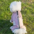 Rosa Winter Hundefleece Anzug mit Rückenreißverschluss, warme Haustierbekleidung für kaltes Wetter. - S / Aoli Rosa