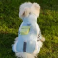 Blau-weiße Winter Hundejacke, warme vierbeinige Haustierjacke mit Tasche für kleine Hunde. - S / Bondi-Blau