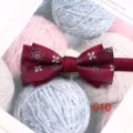 Nahaufnahme einer burgunderroten Fliege mit geometrischem Muster, elegantes Accessoire. - 010