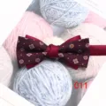 Burgunderroter Herrenfliege mit filigranem Blumenmuster, ideal für Hochzeiten und elegante Anlässe. - 011
