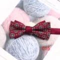 Detaillierte Nahaufnahme einer burgunderroten gemusterten Fliege mit feinem Retro-Stoffdesign. - 015