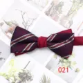 Elegante papillon da uomo bordeaux a righe perfetto per abiti formali e matrimoni. - Colore 021