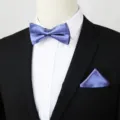 Paarse Vlinderdas en Pochette Set voor Heren Formeel Kostuum Accessoire Variant - Blauw en Paars