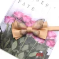 Elegant champagne gold bow tie with sheer butterfly wings for parties and banquet. - Color 003