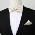 Heren goudkleurige vlinderdas en pochet set, formele trouwaccessoires variant stijl. - Champagnegoud