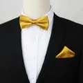 Gouden vlinderdas en pochet set voor heren formele zakelijke feestkleding accessoires. - Goud
