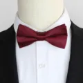 Pajarita de Satén Borgoña para Hombre Accesorio Traje Formal Boda Elegante Corbata - Color 004
