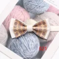 Gros plan detaille d'un noeud papillon d'affaires pour hommes a double couche avec motif. - Couleur 021
