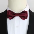 Bordeauxrode gelaagde heren vlinderdas voor formeel pak bruiloft feest elegante stijlvolle accessoire SKU - Kleur 006