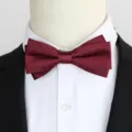 Wijnrode dubbele heren vlinderdas formeel pak accessoire bruiloft bruidegom stijlvol - Kleur 008