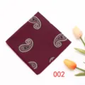 Pañuelo de bolsillo burdeos con cachemir para hombre, detalle clásico de traje de boda. - Color 002