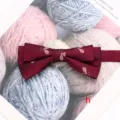 Gros plan sur les détails du nœud papillon bordeaux à chevron et motif de raquette. - Style H