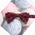 Vue detaillee d un noeud papillon double bordeaux avec motif d avion elegant et texture. - Style M