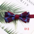 Detailed closeup of a stylish dual-layer bow tie with blue and burgundy leaf print. - Color 013