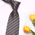 Men's business casual striped tie detail, classic style fabric texture closeup view elegant. - Diagonal Stripe (025)