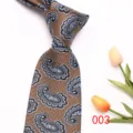 Classic men's brown paisley silk tie business casual formal necktie wedding apparel - 003 (Brown Paisley)