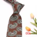 Classic brown paisley necktie for men, stylish polyester business wedding tie for modern suit. - 006 (Brown Paisley)