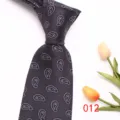 Classic Men Paisley Silk Tie Business Casual Necktie Wedding Groom Gift Accessories - 012 (Dark Gray Paisley)