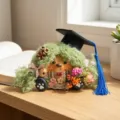 Handmade graduation doll ornament detail, creative entada bean pod craft with cap. - Material Kit / Green