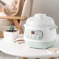 Compact electric stew pot for home use, multi-functional ceramic soup cooker and baby porridge maker. - Green (Single Layer) / CN 220V