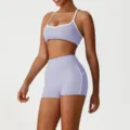 Set reggiseno sportivo e pantaloncini da yoga fitness lavanda a vita alta senza cuciture. - Viola (Reggiseno + Pantaloncini)