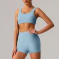 Conjunto de yoga azul claro sujetador deportivo pantalones cortos talle alto fitness ropa - S / Parte Superior e Inferior / Azul Niebla