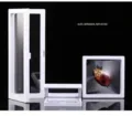 Scatola professionale display 3D galleggiante in pellicola PE bianca per gioielli - 11*11cm (Senza base) / Bianco