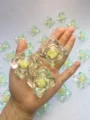 Capsules de Lessive Gardenia 5 en 1 Perles de Parfum Longue Duree En Vrac - Camélia / Pack de 50 Pièces