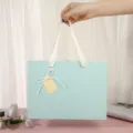 Boite cadeau bleue avec ruban noeud poignee grande taille elegante pour fete anniversaire - Petit (17x12x5.8cm) / Bleu clair