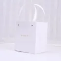 Weiße minimalistische Geschenk-Papiertüte mit Griffen für Schmuck und luxuriöse Verpackung. - Geschenktüten für zwei Boxen