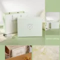 Green gift box set with paper bag, raffia and card, perfect for birthdays and holidays. - Simple Gift Box + Gift Bag + Raffia Paper + Card / 27.5x21.5x10.5cm