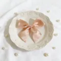 Primo piano di un delicato fiocco in nastro di satin per decorazione scatola regalo dettaglio. - 4x42.5cm / Champagne