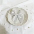 Primo piano dettagliato di un elegante fiocco in nastro di satin bianco sul piatto decorato. - Bianco Candeggiato