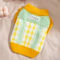 Maglione in maglia con motivo ananas per animali domestici in blocchi di colore giallo e verde. - Taglia S / Maglione con Maniche a Volant Giallo