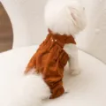 Autunno inverno vestiti carini cane salopette velluto a coste caldo per cani piccoli - XS (0.5-1.5 kg) / Salopette + Maglia di Base / Marrone