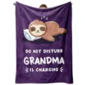 Cozy purple flannel blanket featuring cute sleeping sloth and funny quote for winter warmth. - Style 5