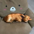 Simpatico cuscino in peluche di animale di simulazione, bambola animale regalo. - 40CM / Mucca