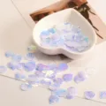Iridescent shell sequins for DIY crafts, sparkling clothing accessories with holes. - 13mm Pieces/Pack / White