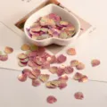 Iridescent shell sequins for DIY crafts children stage costume garment decorative accessories - 13mm Pieces/Pack / Rose Red