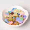 Paillettes coquillage iridescentes pour loisirs créatifs, écailles colorées pour vêtements. - Pack de 19mm / Multicolore