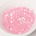 3mm etoile rose paillettes scintillant mini flacons pour art d'ongle resine bricolage - Rose
