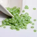 Rodajas de kiwi de arcilla polimérica para uñas DIY resina relleno decoración SKU presentación. - Kiwi 5g