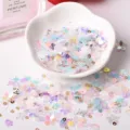 Close-up of Korean mixed nail art sequins, iridescent glitter flakes for DIY epoxy crafts. - Korean Style 3