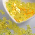 Gold hollow star nail art sequins, shimmering glitter flakes for DIY manicure crafts and makeup. - Hollow Star / 8mm / Transparent Yellow