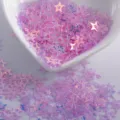 Pink holographic star nail sequins, hollow glitter flakes for cute DIY manicure design. - Hollow Star / 8mm / Transparent Purple
