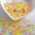 Holographic hollow star nail art sequins for DIY crafts and sparkling makeup looks. - Hollow Star / 8mm / Transparent Mixed Colors
