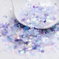 Gemischte holografische Pailletten Muschel Glitzer Flocken für DIY Epoxidharz Nagel Make-up. - Lila Serie