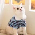 Carino gatto pile inverno vestiti caldi blu marrone a righe due gambe abbigliamento animali - XS / strisce blu