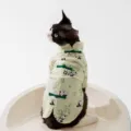 Niedliches Panda Druck Katzenhemd Sommer Haustier Tangzhuang Gelbe Katzenkleidung - S / Oberteile / Panda-Weste im chinesischen Stil